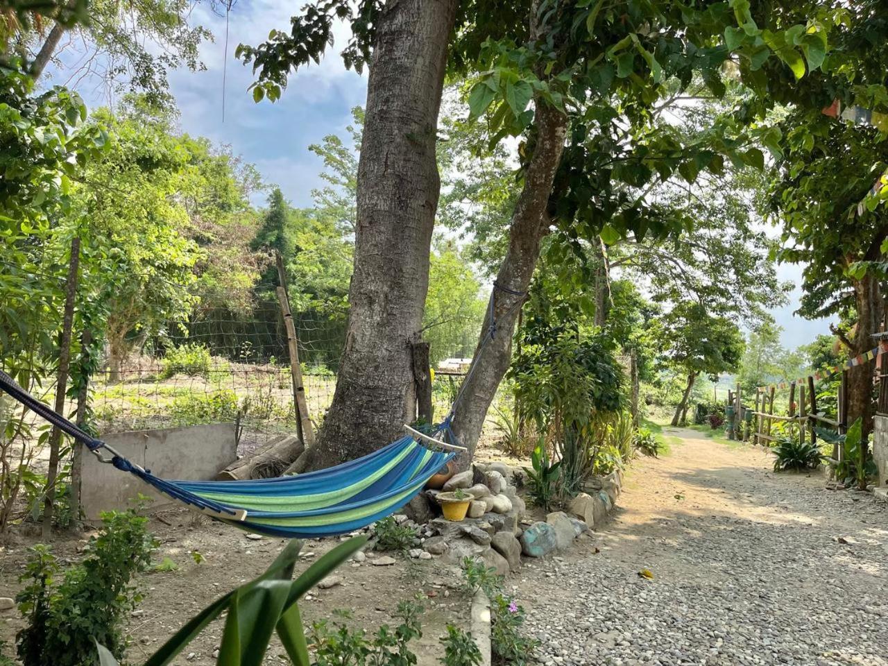 סאורהה Bamby Chilling House - Feel The Nature מראה חיצוני תמונה